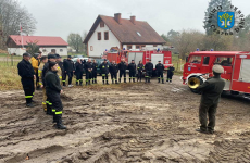 Czytaj więcej: Akcja 100 drzew na 100-lecie Związku OSP RP