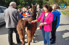 Czytaj więcej: Spotkanie z Alpakami