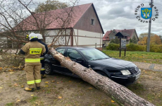 Czytaj więcej: Powalone drzewo w Nożynie