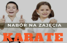 Czytaj więcej: Karate w GCKiB!