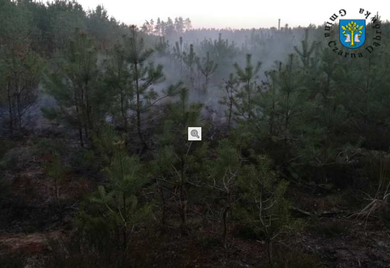 s_800_550_16777215_0_1_cache_klixok2watermark_c56364d52cc13901a8840162c9520b3f.png